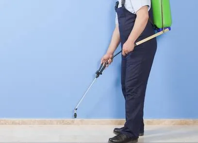 افضل شركة مكافحة حشرات