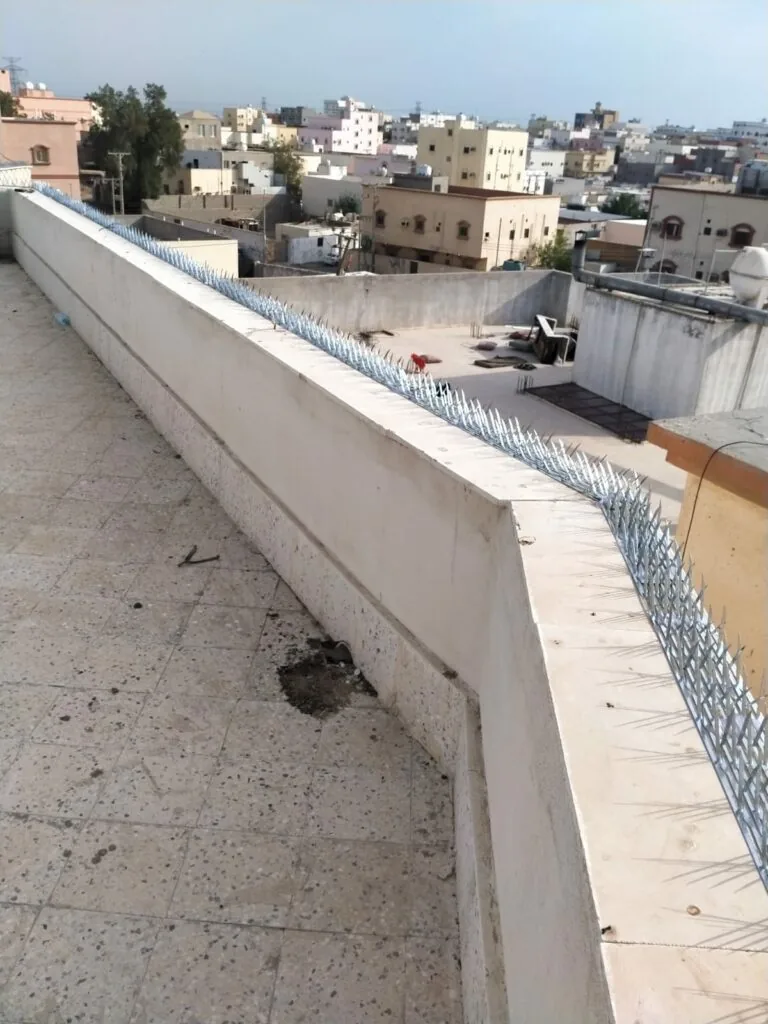 شركة تركيب طارد الحمام بجدة